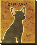Chihuahua (black)