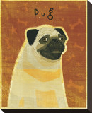 Pug
