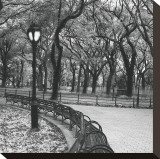 Walk Through the Park