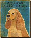 American Cocker Spaniel I