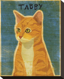 Tabby (orange)