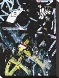 Black Bee Tag