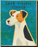 Jack Russell Terrier