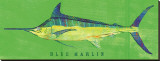 Blue Marlin