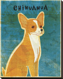 Chihuahua (red)