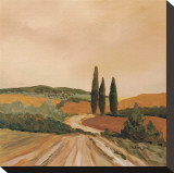 Shady Tuscan Fields