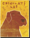 Chocolate Lab