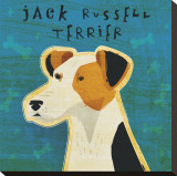 Jack Russell Terrier