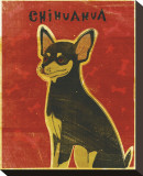 Chihuahua (black and tan)