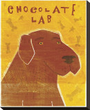 Chocolate Lab