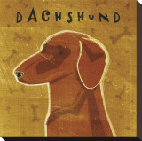 Dachshund (red)