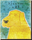 Lab (yellow)