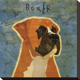 Boxer