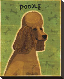 Poodle (brown)