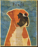 Boxer