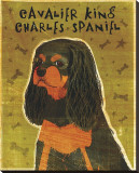 Cavalier King Charles (black and tan)