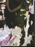 Black Lilac Layers