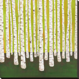 Birch Forest