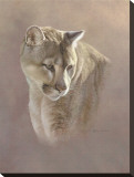 Watchful Eyes