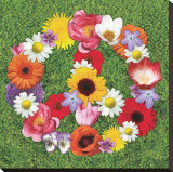 Peace Wreath