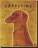 Dachshund (red)