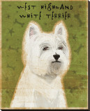 West Highland White Terrier