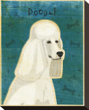Poodle (white)