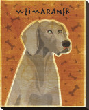 Weimaraner