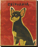 Chihuahua (black and tan)
