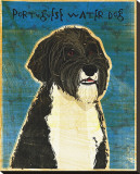 Portuguese Water Dog