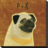Pug