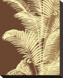 Ivory Palm