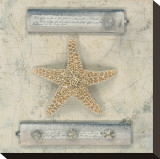 Starfish Journal