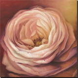 Rose Portrait