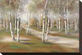 The Road Less Traveled