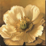 Poppy Portrait