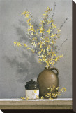 Forsythia