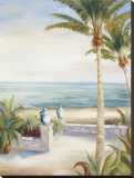 Coastal View