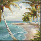 Palm Paradise