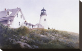 Gulls at Pemaquid