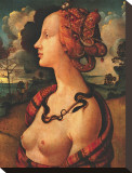 Portrait of Simonetta Vespucci  c 1480