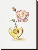 Love Potion