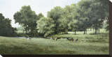 Grazing
