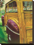 Purple Fenders