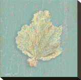 Sea Fan