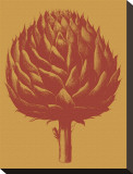Artichoke  no 15