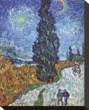 Country Road in Provence by Night  c1890