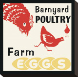 Barnyard Poultry-Farm Eggs