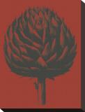 Artichoke  no 9