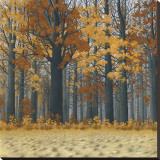 Autumn Wood